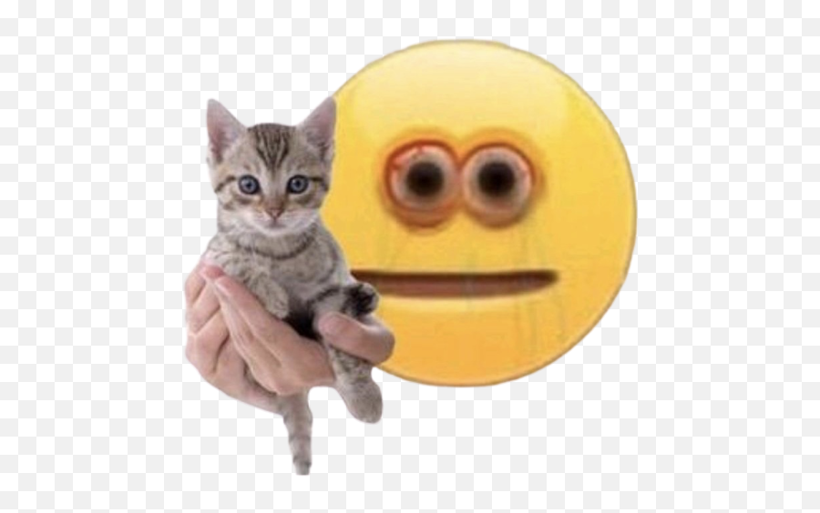 Pin - Cursed Emoji Oh No,Ninja Cat Emoji