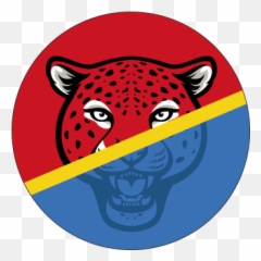 Dr Congo Woopsocket Grip - Dot Emoji,Dr Flag Emoji