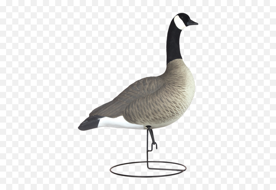 Rugged Series Full Body Canada Goose - Full Body Canadian Goose Decoy Emoji,Canadian Goose Emoticon