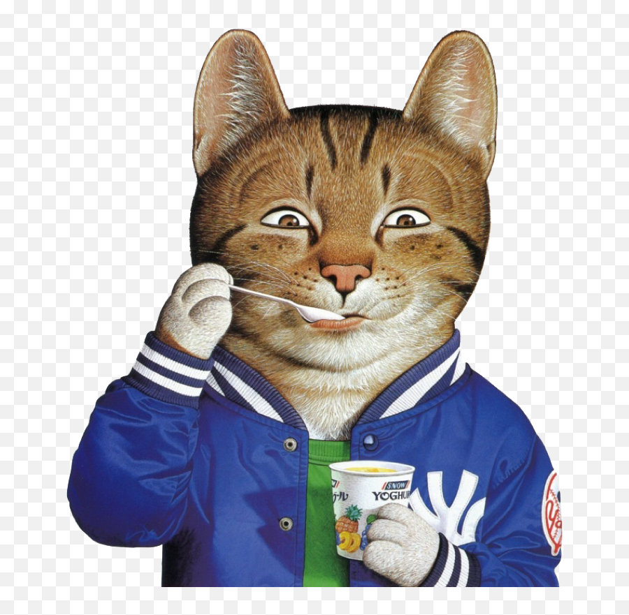 Catemojirealdb17 Cat Decorative Pillows Emoji,Couch Emoji Catemojirealdb17 Cat Decorative Pillows Emoji,Couch Emoji