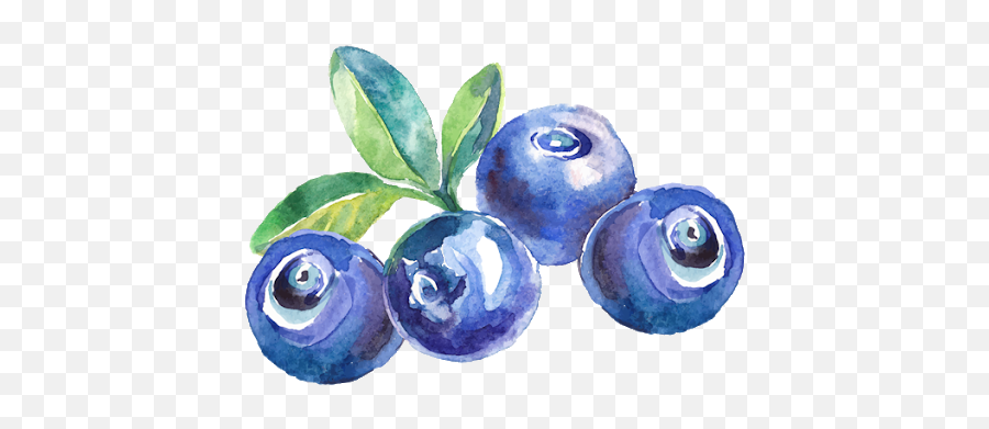 The Most Edited Berries Picsart Emoji,Blueberries Emoji Discord