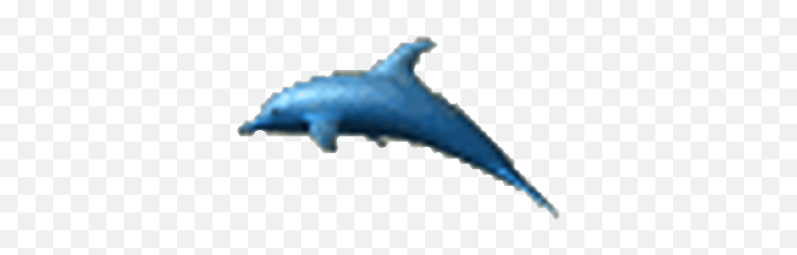 Top Dolphin 5 0 Stickers For Android U0026 Ios Gfycat - Common Bottlenose Dolphin Emoji,Dolphin Emoji Android