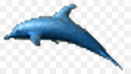 Top Dolphin 5 0 Stickers For Android U0026 Ios Gfycat - Common Bottlenose Dolphin Emoji,Dolphin Emoji Android
