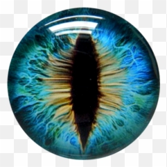 Dragoneye Contacts Sticker By Corina Garcia Emoji,Why Cant I But Emojis In My Contacts