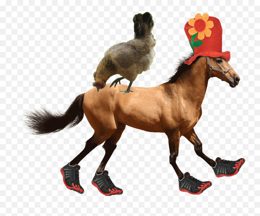 Top Jumping Horse Stickers For Android Emoji,Horse Emojis