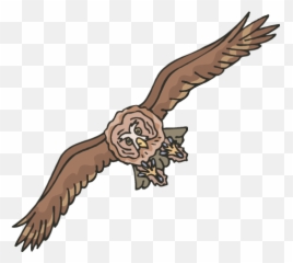 Owls Facts Science Trek Idaho Public Television - Scary Emoji,Hoot Owl Emojis