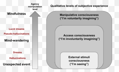 Representation Internal - Manipulation Rim A Neuroinspired Vertical Emoji,Manipulation Of Emotion