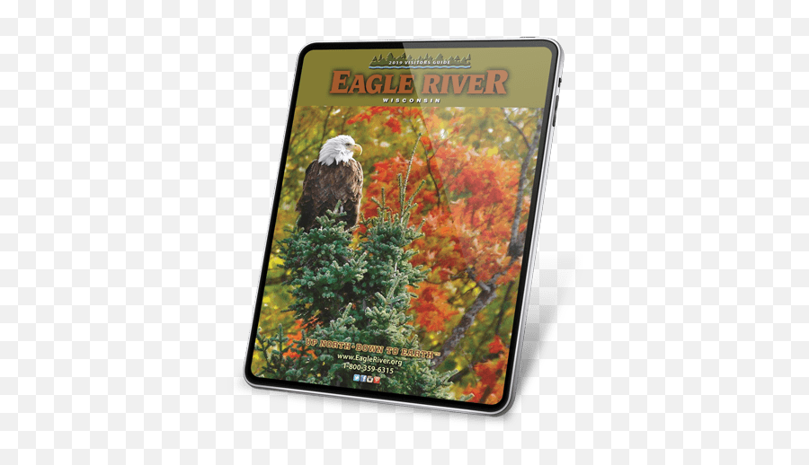 Summer In Eagle River - Bald Eagle Emoji,Eagle Emoticon Ipad