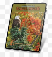 Summer In Eagle River - Bald Eagle Emoji,Eagle Emoticon Ipad