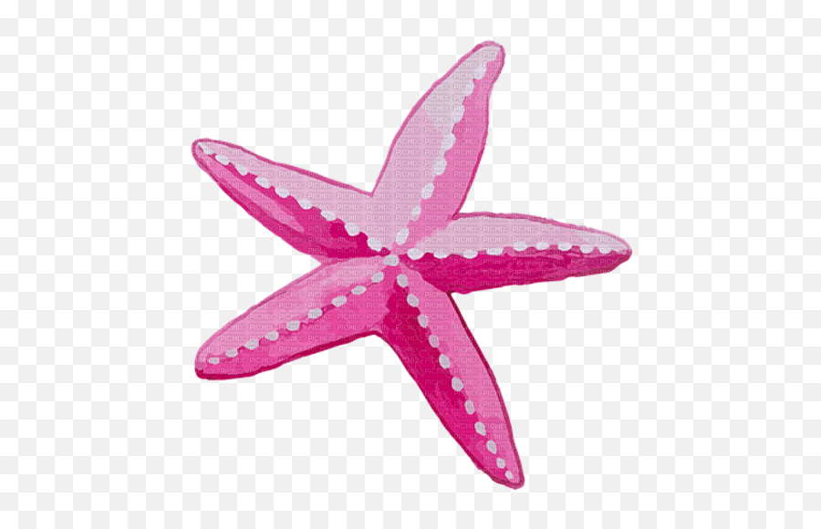 Dolceluna Summer Pink Starfish Watercolor Dolceluna - Girly Emoji,Starfish Emoticon For Facebook