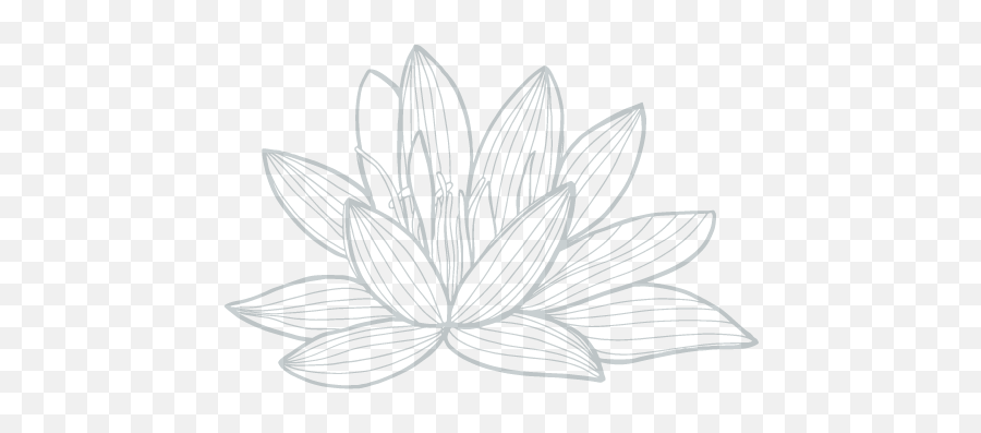 Teachers Lotus Flower At Atma Center - Nymphaea Nelumbo Emoji,Emotion Bliss Kayak