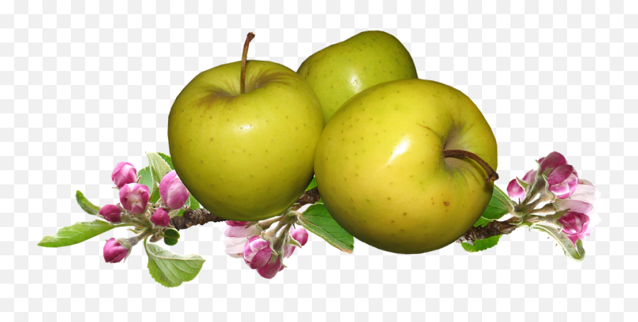Png Images Pngs Fruit Food 34png Snipstock Emoji,Apple Food Emojis Psd