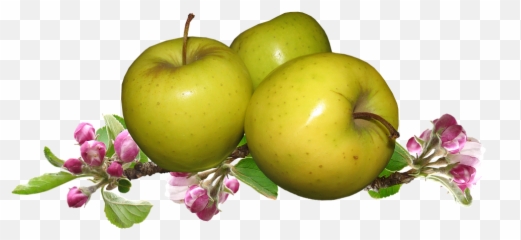 Png Images Pngs Fruit Food 34png Snipstock Emoji,Apple Food Emojis Psd