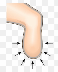 Cool Liner Plus U2013 Transtibial U2013 Daw Industries Emoji,Nose Emoji.gg