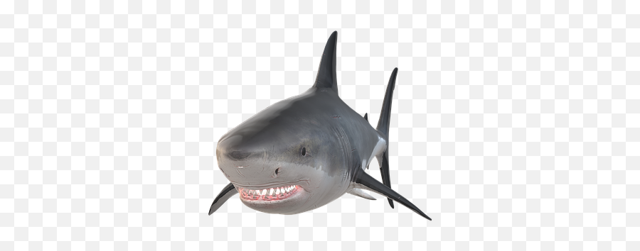 Free Hai Shark Illustrations - Great White Shark Emoji,Shark Fin Emoji