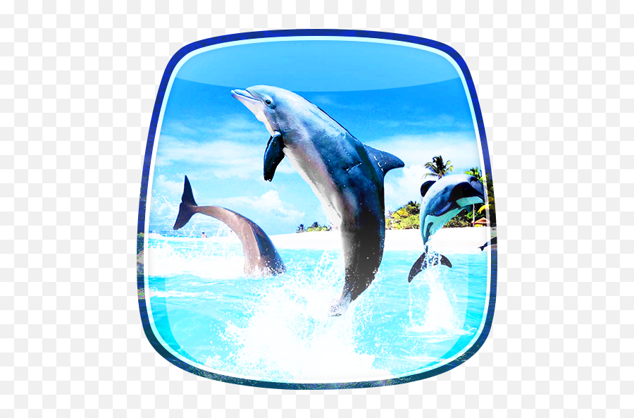 Download Dolphins Live Wallpaper Android Cute Live - Beach Background With Dolphin Emoji,Dolphin Emoji Android