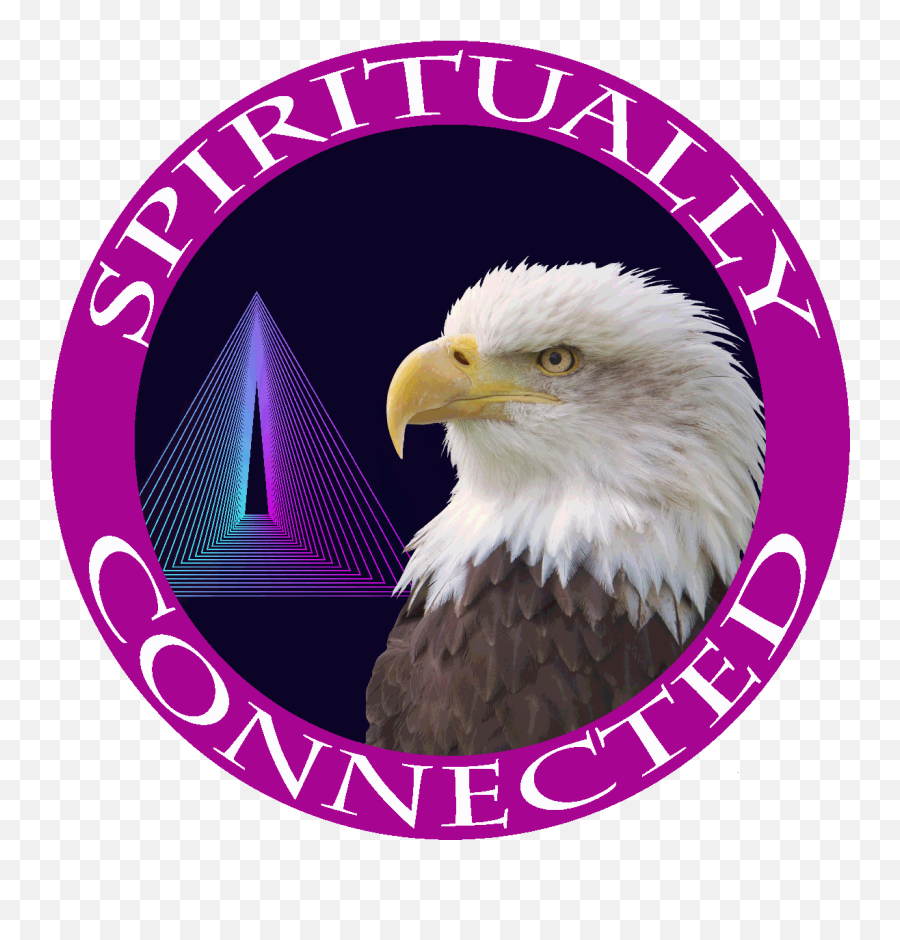 About Energy Healing Spiritually Connected - Psychic Usa Bald Eagle Painting Emoji,The Emotions Of Eagles