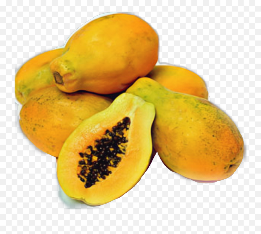 Papaya Sticker - Subang 6 Papaya Emoji,Papaya Emoji