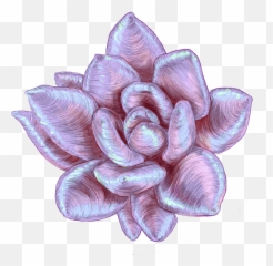 Tatt Ideas - Page 5 Reachout Forums 136544 Echeveria Emoji,Vizsla Emoji