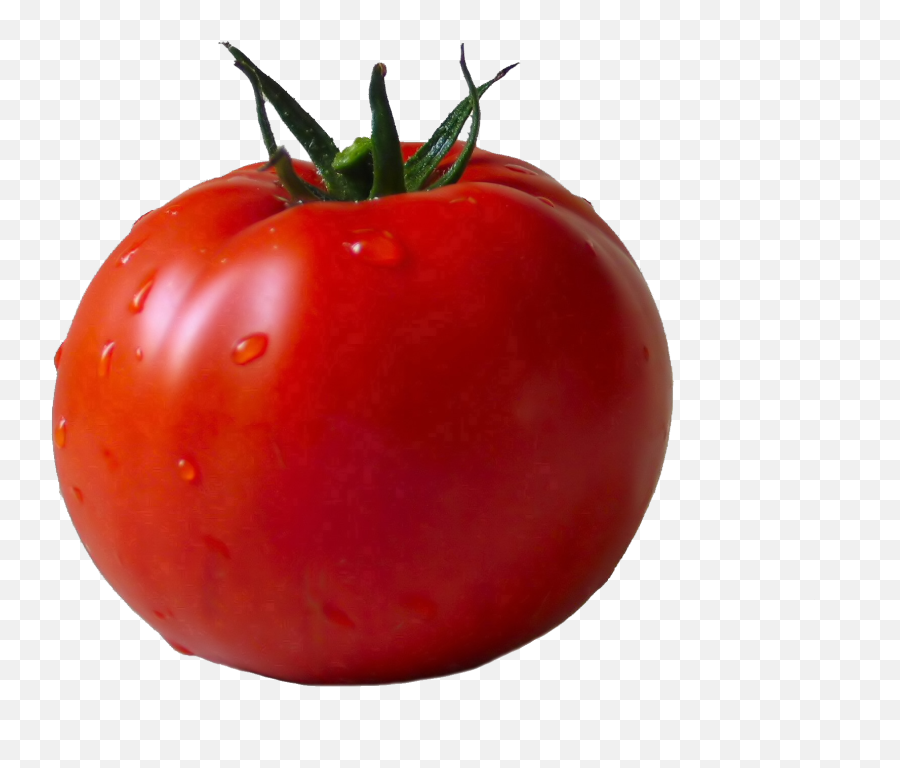 Lettuce Clipart Single Vegetable - Tomato Transparent Png Tomato Png Emoji,Lettuce Emoji