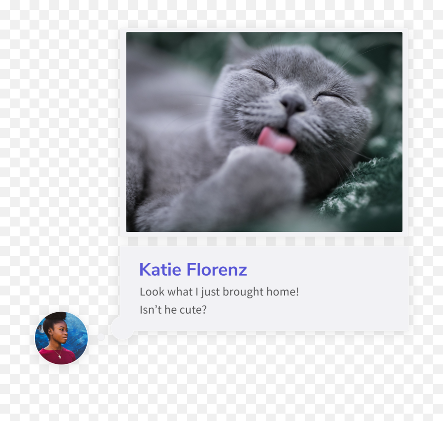 Mmessage 2 - Fcpx Plugin Powered By Mocha Visualize Your Emoji,Tag Photos Of Cats Emotion