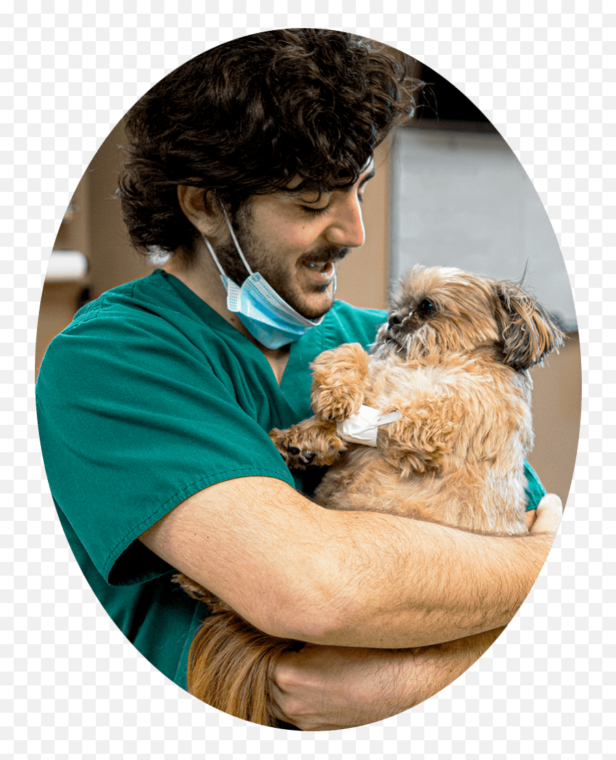 Leaders In Veterinary Partnerships Heartland Emoji,Stethoscope Facebook Emoticons