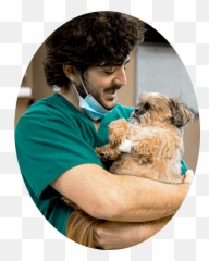 Leaders In Veterinary Partnerships Heartland Emoji,Stethoscope Facebook Emoticons