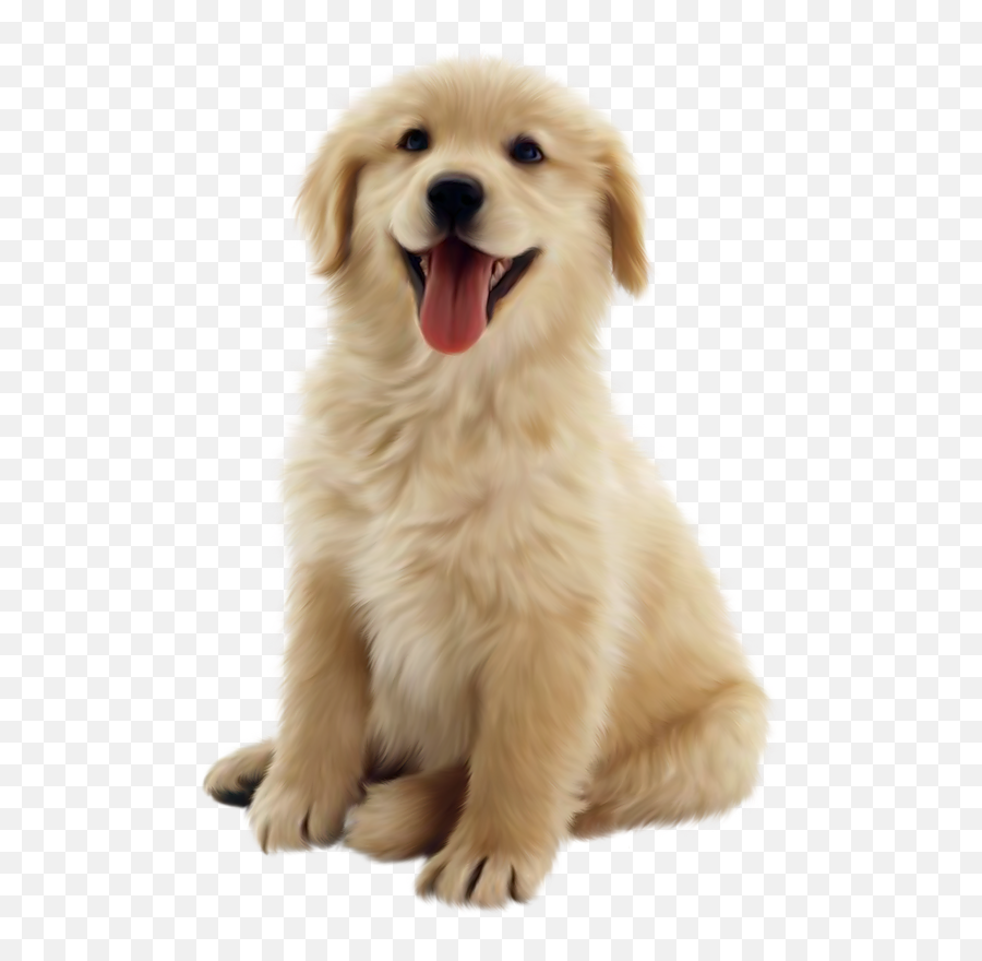 Dog Anxiety A Full Guide And Recommended Dog Anxiety - Golden Retriever Puppy Transparent Background Emoji,What Emotions Do Dogs Have