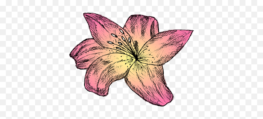 100 Free Pink Natural U0026 Nature Vectors - Pixabay Girly Emoji,Sakura Flower Emoji