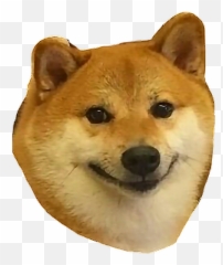 Shibe Shib Happy Shibenation Sticker - Have You Seen Him Shiba Meme Emoji,Shibe Emoji