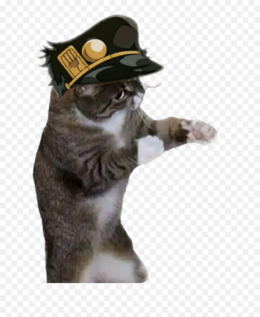 The Most Edited Kujojotaro Picsart - Costume Hat Emoji,Police Cat Emoticon