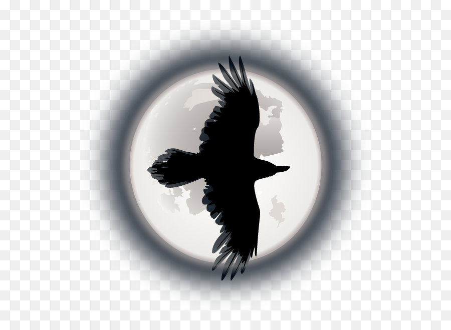 Schedule Online With Nightfall Astrology On Bookingpage - Common Raven Emoji,Qu'est Ce Que Les Emotions En Psycho