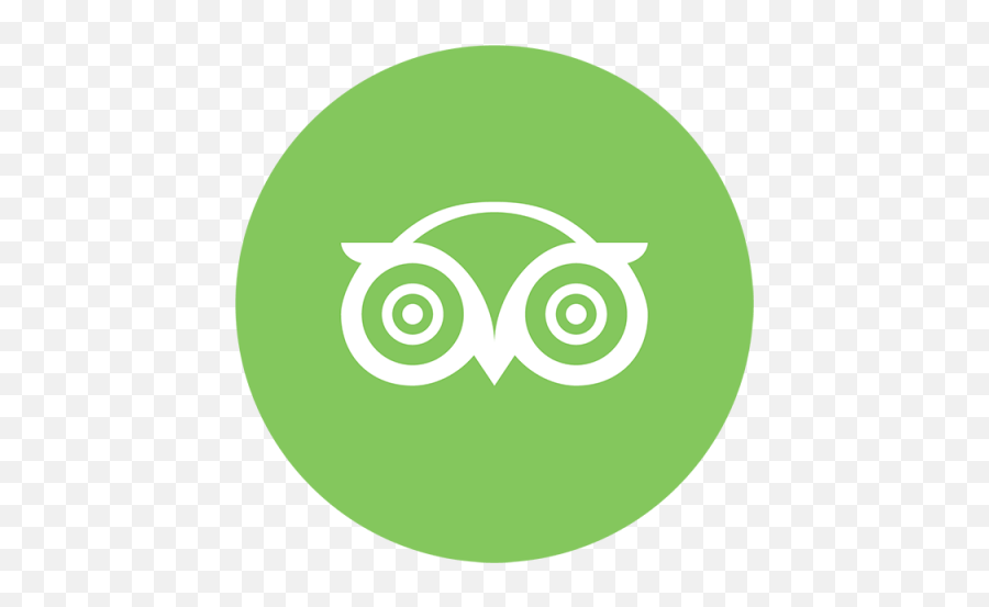 Green - Free Icon Library Emoji,Green Owl Emoticon