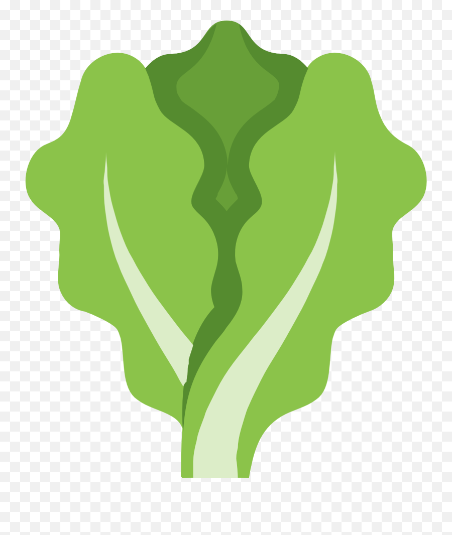 Canadian Cooking Adventures Salads - Lettuce Icon Clipart Emoji,Beatroot Emoji