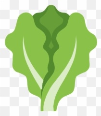Canadian Cooking Adventures Salads - Lettuce Icon Clipart Emoji,Beatroot Emoji