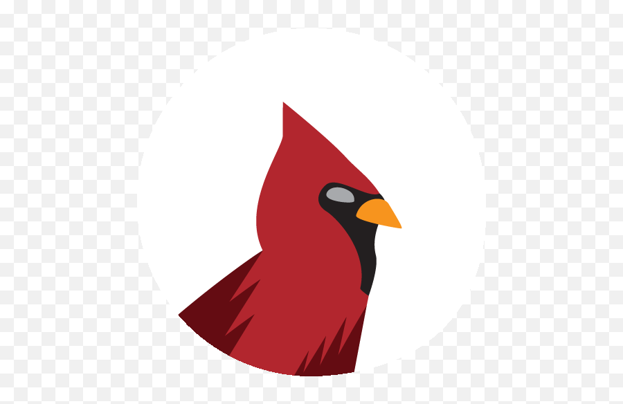 Red Crest Development Emoji,Memoji Bird