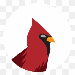 Red Crest Development Emoji,Memoji Bird