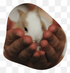 Jackie Vet And Emma The Nurse At Cottimore Vets In Walton Emoji,Frightened Hamster Slack Emoji