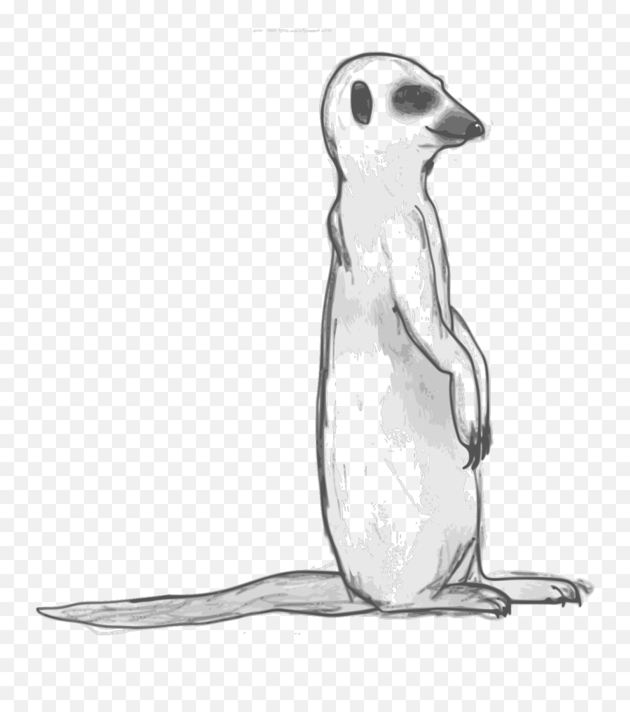 Meerkat Png Svg Clip Art For Web - Meerkat Png Black And White Clipart Emoji,Meerkat Emoji