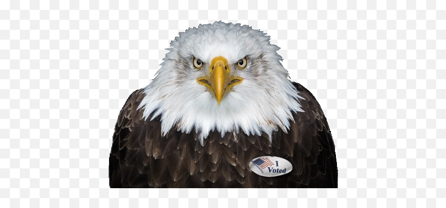 Index Of Graphicssmileys - Avatarspatriotic Fearless Quotes On Eagle Emoji,Patriotic Emoticons