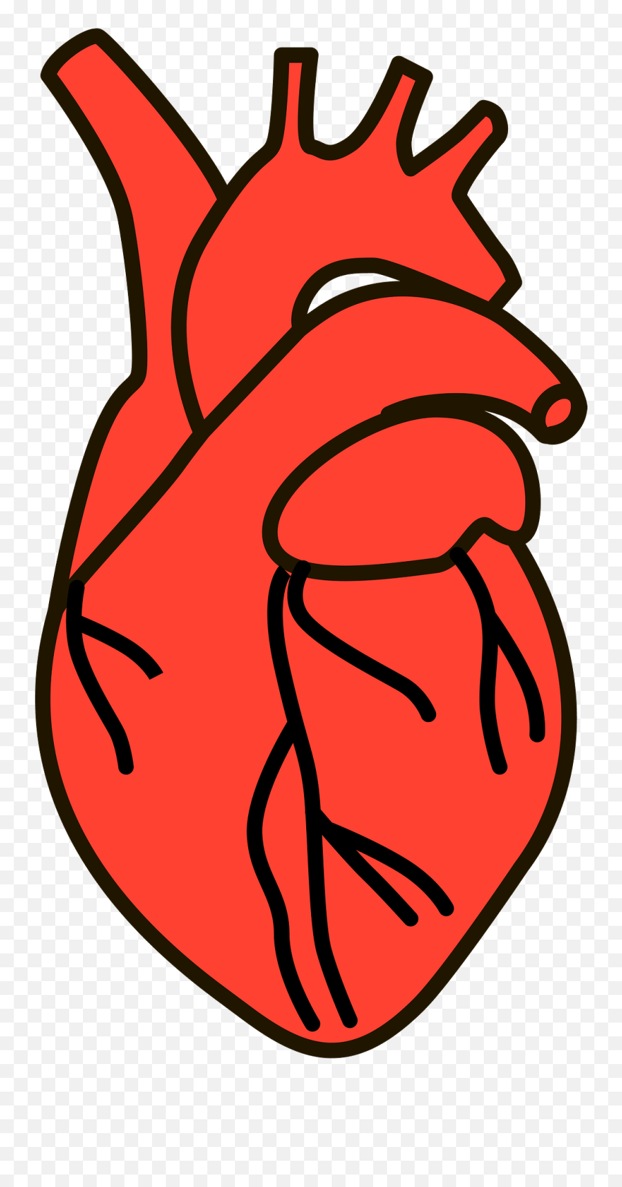 Human Heart Clipart Free Download Transparent Png Creazilla - Vertical Emoji,Liver Emoji