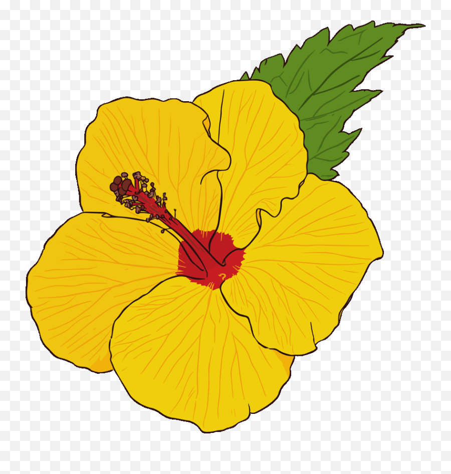 Flowers Sticker By Sarokey For Ios Android Giphy Animated - Hibiscus Flower Emoji Gif,Tropical Flower Emoji