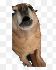 Dog Barking Angry Sticker - Northern Breed Group Emoji,Barking Dog Emoji