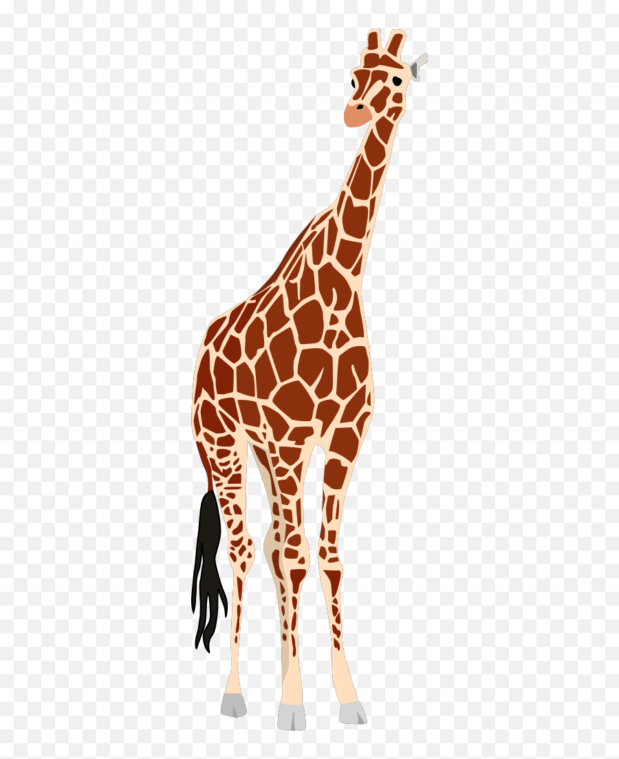 Africa Wild Life Png Clipart - Giraffe Vector Emoji,Giraffe Emoji Png