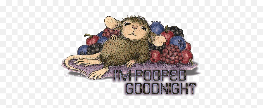 Good Night Pictures Images Graphics Comments Scraps 208 - Good Night Animated Koala Gif Emoji,Good Afternoon Animated Emoticons