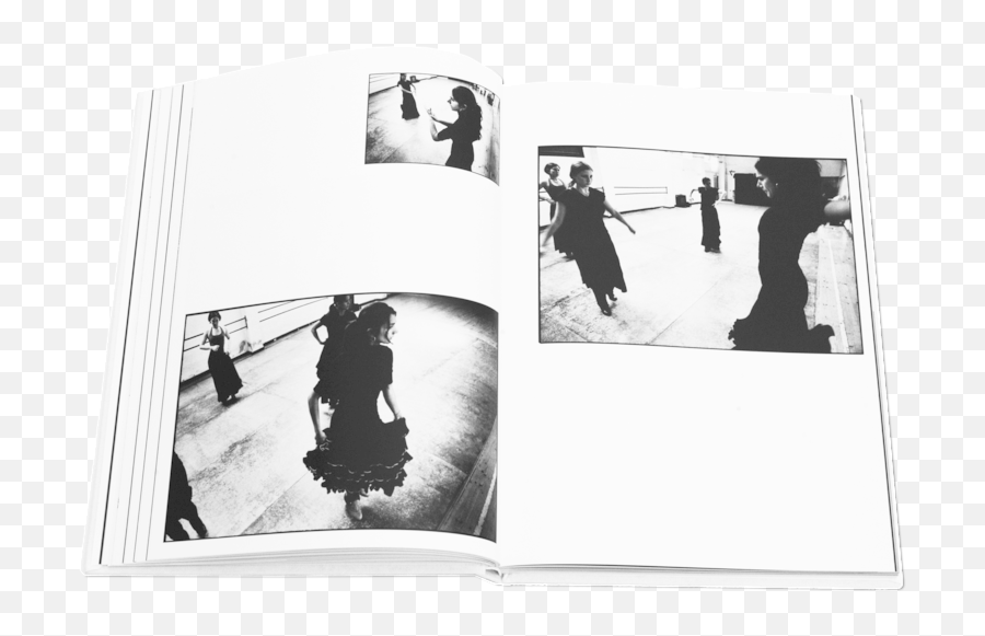 Download Books Flamenco 5 - Photography Book Emoji,Flamenco Dancer Emoji