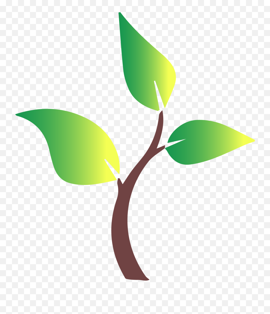 Socal Tree Care Inc - Twig Emoji,Leaf Emojis On All Phones