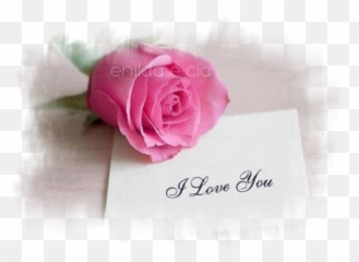 Sofia Bernini Mangeon Bk Sentimentos Frases Lindas - Girly Emoji,:bernin: Emoticon