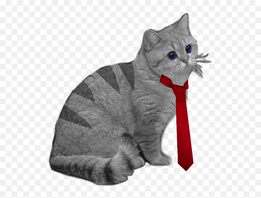 Le Wacky And Uncharacteristic Music Cats Have Arrived - Cat Apparel Emoji,50 Shades Of Grey Emoji
