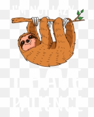 Iu0027m Not Lazy I Have Patience - Lazy Sloth For Men Women Kids Emoji,Quote About Emotions For Kids